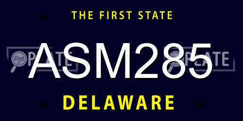 ASM285 Delaware License Plate