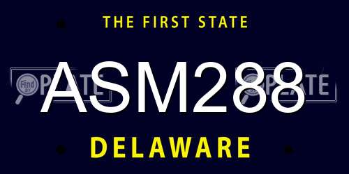 ASM288 Delaware License Plate