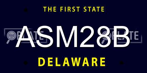 ASM28B Delaware License Plate