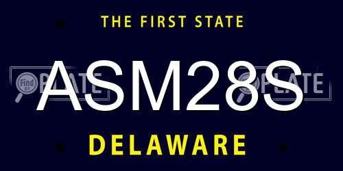 ASM28S Delaware License Plate