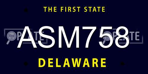 ASM758 Delaware License Plate