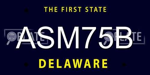 ASM75B Delaware License Plate