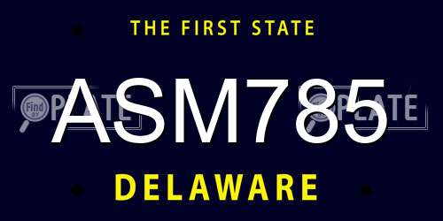 ASM785 Delaware License Plate