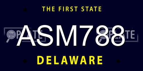ASM788 Delaware License Plate