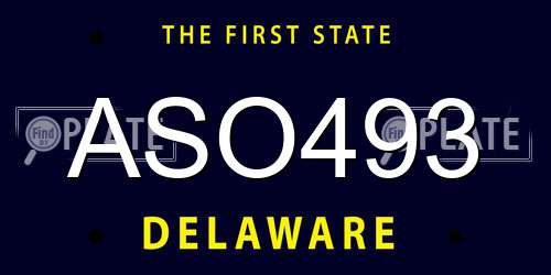 ASO493 Delaware License Plate