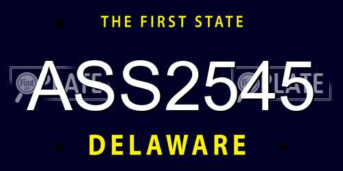 ASS2545 Delaware License Plate