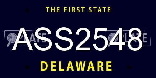 ASS2548 Delaware License Plate
