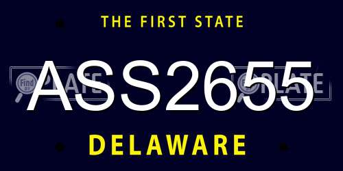 ASS2655 Delaware License Plate