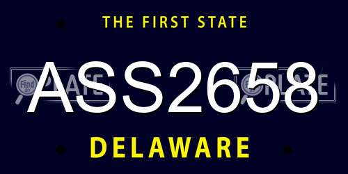 ASS2658 Delaware License Plate