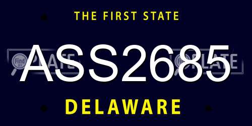 ASS2685 Delaware License Plate