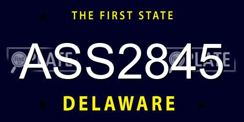 ASS2845 Delaware License Plate