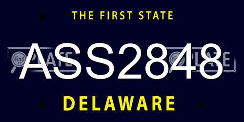 ASS2848 Delaware License Plate