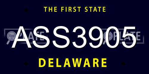 ASS3905 Delaware License Plate