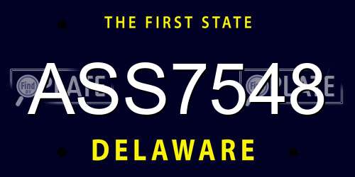 ASS7548 Delaware License Plate