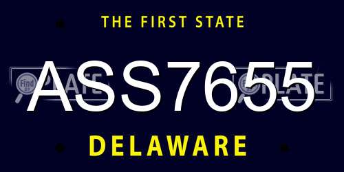 ASS7655 Delaware License Plate