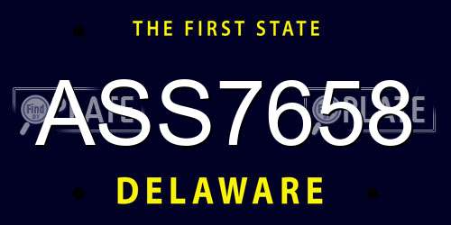 ASS7658 Delaware License Plate