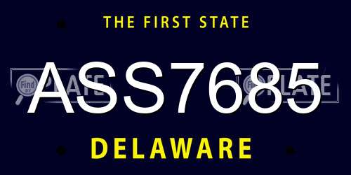 ASS7685 Delaware License Plate