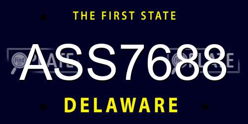 ASS7688 Delaware License Plate