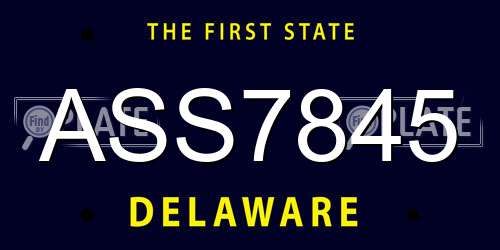ASS7845 Delaware License Plate