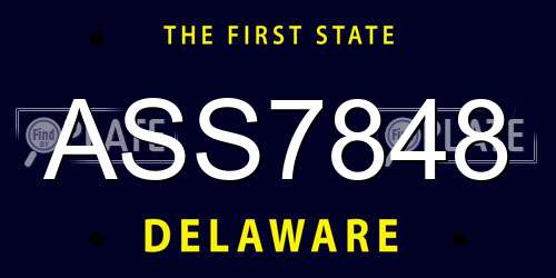 ASS7848 Delaware License Plate