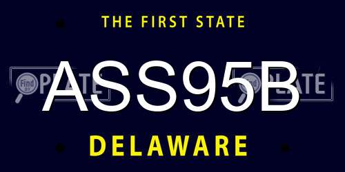 ASS95B Delaware License Plate