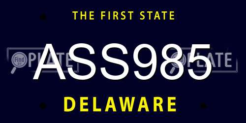 ASS985 Delaware License Plate
