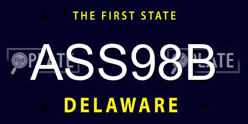 ASS98B Delaware License Plate