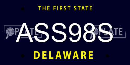 ASS98S Delaware License Plate