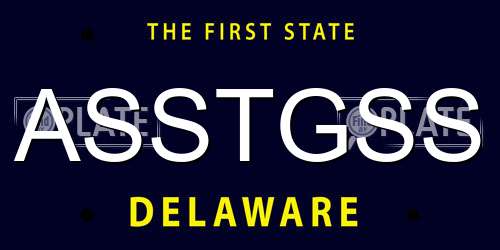 ASSTGSS Delaware License Plate