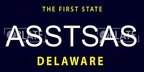 ASSTSAS Delaware License Plate
