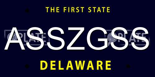 ASSZGSS Delaware License Plate