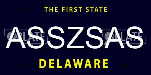 ASSZSAS Delaware License Plate