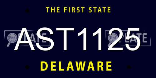 AST1125 Delaware License Plate