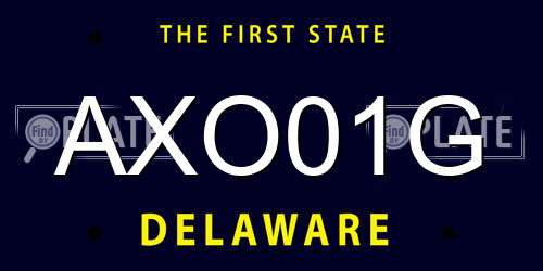 AXO01G Delaware License Plate