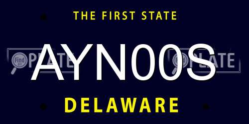 AYN00S Delaware License Plate
