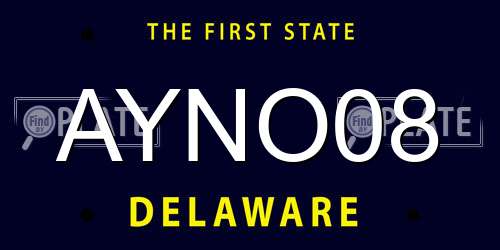 AYNO08 Delaware License Plate
