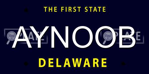 AYNOOB Delaware License Plate
