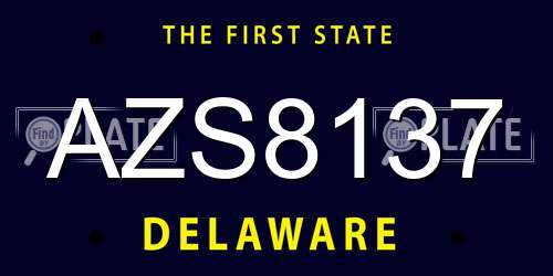 AZS8137 Delaware License Plate