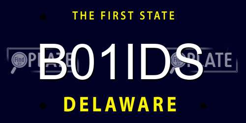 B01IDS Delaware License Plate