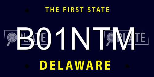 B01NTM Delaware License Plate