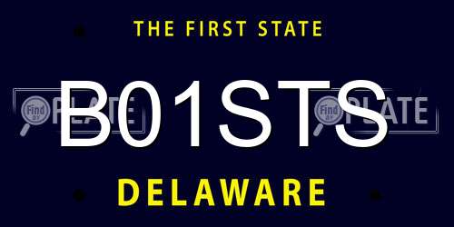 B01STS Delaware License Plate