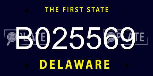 B025569 Delaware License Plate