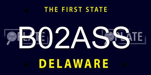 B02ASS Delaware License Plate