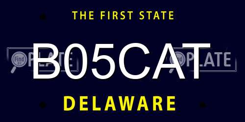 B05CAT Delaware License Plate