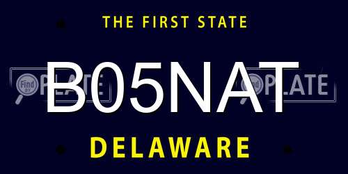 B05NAT Delaware License Plate