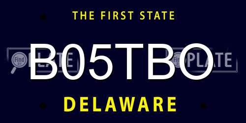 B05TBO Delaware License Plate