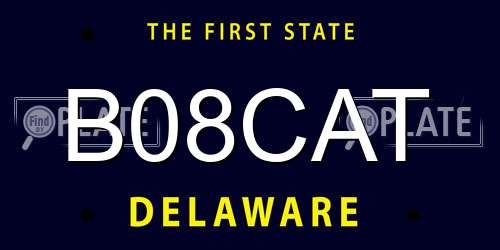 B08CAT Delaware License Plate