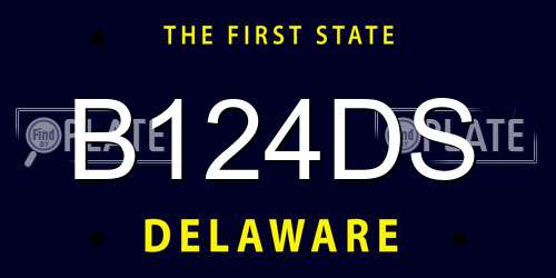 B124DS Delaware License Plate