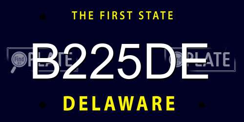 B225DE Delaware License Plate