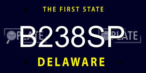 B238SP Delaware License Plate